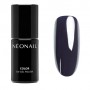 Esmalte semipermanente Neonail 7,2ml – New Moon Prince (9713)