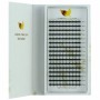 Extensiones de Pestañas Volumen Ruso 4D/D Pre-hechas Mix