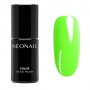 Esmalte semipermanente Neonail 7,2ml – What I want  (9946)