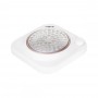 Aspirador de mesa de forma casete Momo J007 48W