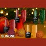 Esmalte Semipermanente Hollybell 4 SUNONE