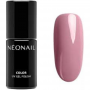 UV GEL POLISH ROSY MEMORY (12420)
