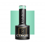 Esmalte semipermanente Rainbow 10 Ocho Nails