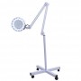 LUPA LED 5 AUMENTOS CON PIE Y RUEDAS