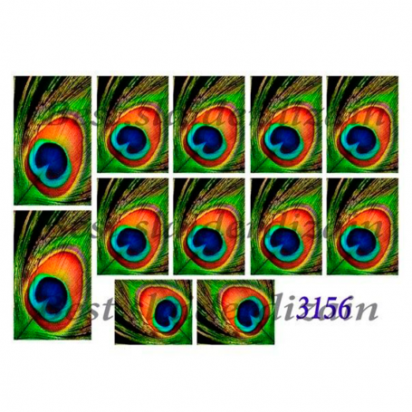 SLIDER AMI 3156