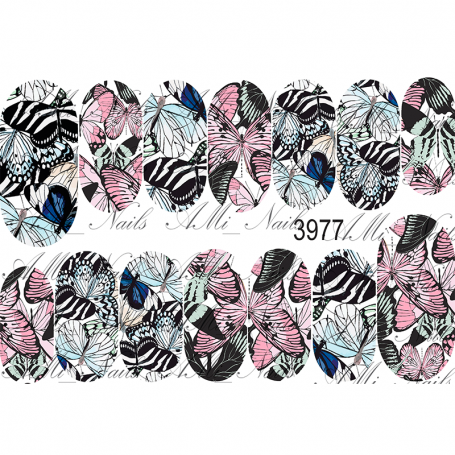 SLIDER AMI 3977
