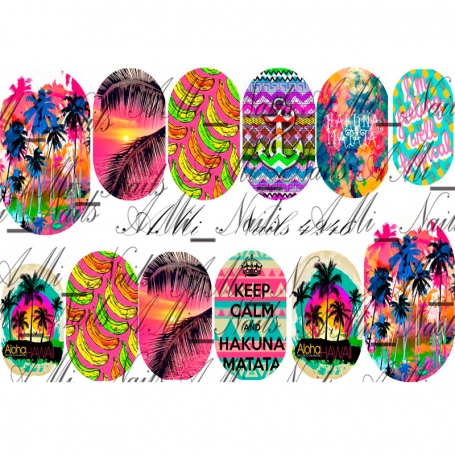 SLIDER AMI 4246