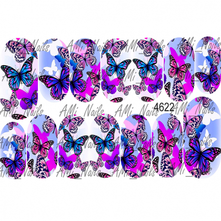 SLIDER AMI 4622