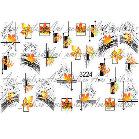 SLIDER AMI 3224
