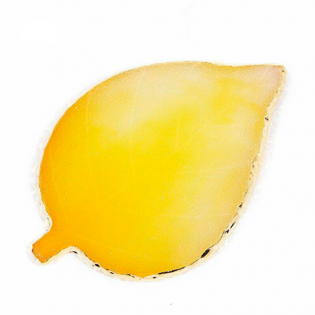 Paleta resina para combinar colores diseño hoja amarilla