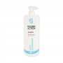 Champú anticaspa 1000 ml Hair Company professional